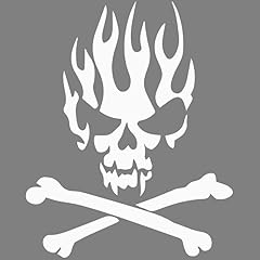 Decus flaming crossbones gebraucht kaufen  Wird an jeden Ort in Deutschland