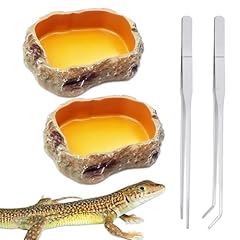 Bngxr lot reptile d'occasion  Livré partout en France