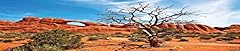 Reptile habitat background for sale  Delivered anywhere in USA 