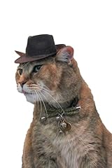 Indiana jones fedora for sale  Delivered anywhere in USA 