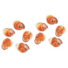 Hapinary pièces coquilles d'occasion  Livré partout en France