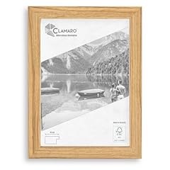 Clamaro collage cornice usato  Spedito ovunque in Italia 