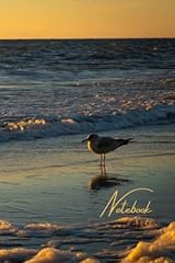Notebook the seagull usato  Spedito ovunque in Italia 