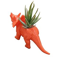 Chictry dinosaur succulent for sale  Delivered anywhere in USA 