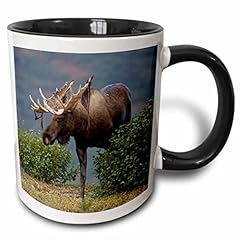 3drose moose wildlife for sale  Delivered anywhere in USA 