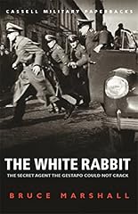 White rabbit for sale  Delivered anywhere in UK