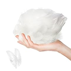 100 pcs feathers for sale  Delivered anywhere in UK