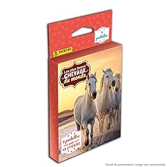 Panini beaux chevaux d'occasion  Livré partout en France