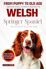 Ultimate welsh springer for sale  Delivered anywhere in UK