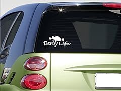 Stik derby life for sale  Delivered anywhere in USA 