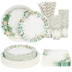 Lot assiettes jetables d'occasion  Livré partout en France