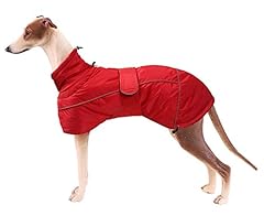Babepet greyhound coat for sale  Delivered anywhere in UK