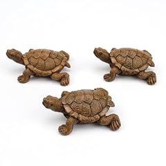 Huanr stück schildkröte gebraucht kaufen  Wird an jeden Ort in Deutschland
