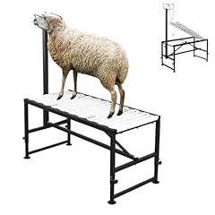 650 lbs goat for sale  Delivered anywhere in USA 