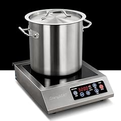 Changbert portable induction for sale  Delivered anywhere in USA 