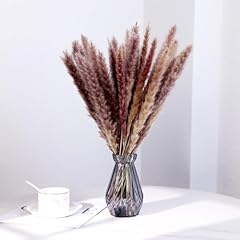Pcs brown pampas for sale  Delivered anywhere in USA 