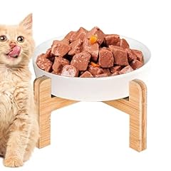 Ciotole per gatti usato  Spedito ovunque in Italia 