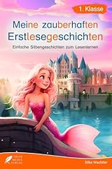 Silbenbuch klasse zauberhaften gebraucht kaufen  Wird an jeden Ort in Deutschland