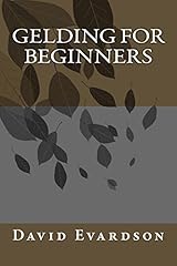 Gelding beginners for sale  Delivered anywhere in USA 