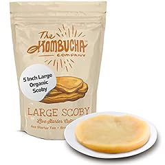 Organic kombucha scoby for sale  Delivered anywhere in USA 
