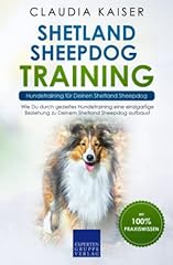 Shetland sheepdog training d'occasion  Livré partout en France