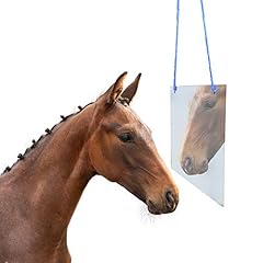 Yuyuso horse mirror for sale  Delivered anywhere in USA 