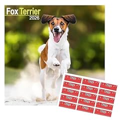 Fox terrier calendar for sale  Delivered anywhere in UK