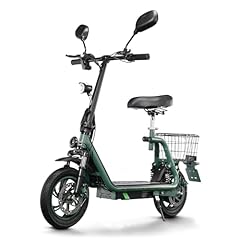 Twofish scooter straßenzulass gebraucht kaufen  Wird an jeden Ort in Deutschland