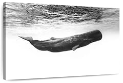 Elephantstock sperm whale for sale  Delivered anywhere in USA 