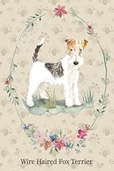 Wire fox terrier usato  Spedito ovunque in Italia 