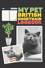 Pet british shorthair for sale  Delivered anywhere in Ireland