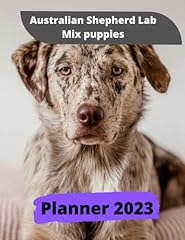 Australian shepherd lab for sale  Delivered anywhere in USA 