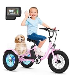 Naizea electric kids for sale  Delivered anywhere in USA 