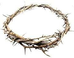 Crown thorns bethlehem for sale  Delivered anywhere in USA 