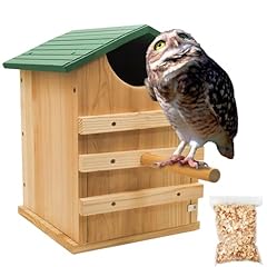 Prolee screech owl for sale  Delivered anywhere in USA 