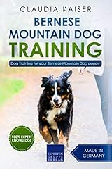 Bernese mountain dog for sale  Delivered anywhere in UK