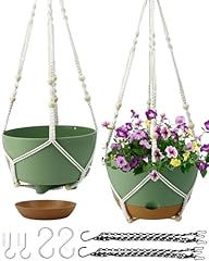 Koalaime hanging planter for sale  Delivered anywhere in USA 