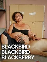Blackbird blackbird blackberry usato  Spedito ovunque in Italia 