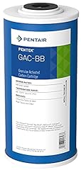 Pentair pentek gac for sale  Delivered anywhere in USA 