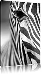 Zebra nahaufnahme format gebraucht kaufen  Wird an jeden Ort in Deutschland