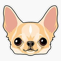 Fawn chihuahua pup for sale  Delivered anywhere in USA 
