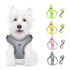 Feycig hundegeschirr kleine gebraucht kaufen  Wird an jeden Ort in Deutschland