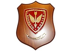 Giemme crest reparto usato  Spedito ovunque in Italia 
