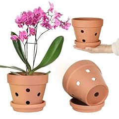 Inch orchid pot for sale  Delivered anywhere in USA 