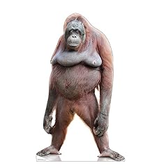Cardboard people orangutan for sale  Delivered anywhere in USA 