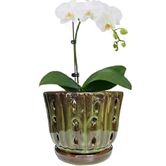 Grdthzey ceramic orchid for sale  Delivered anywhere in USA 