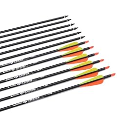 Pfeile zoll carbonpfeile gebraucht kaufen  Wird an jeden Ort in Deutschland