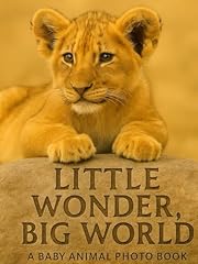 Little wonder baby gebraucht kaufen  Wird an jeden Ort in Deutschland