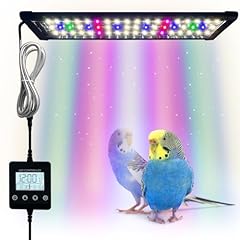 Bird cage light for sale  Delivered anywhere in USA 