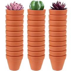 30pcs mini terracotta for sale  Delivered anywhere in UK